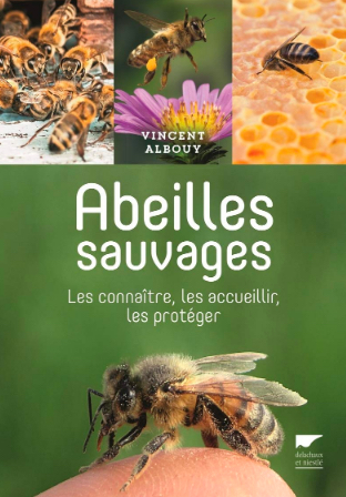 documentaire abeilles suisse anti aging testápoló 50 felett